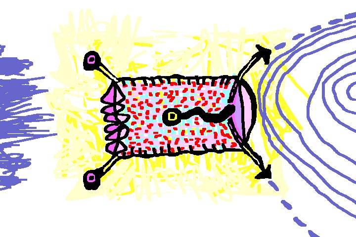 critter1