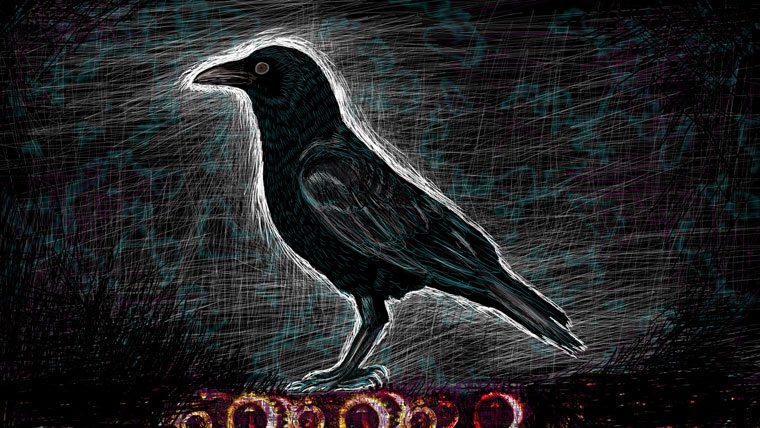 Crow