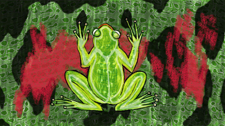 Frog