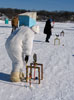 polar player
