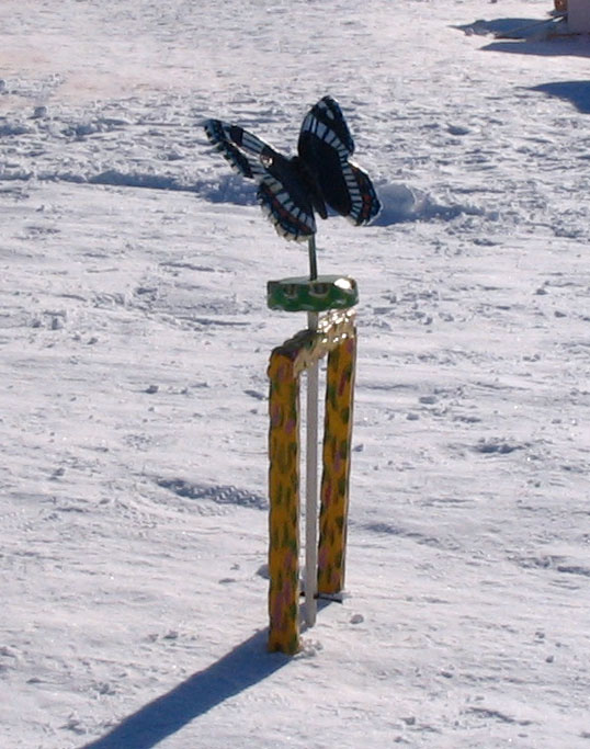 butterfly wicket