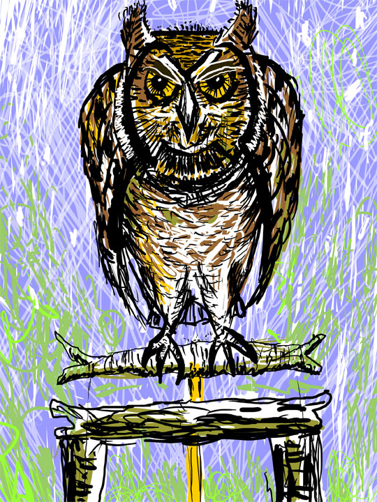 owl wicket